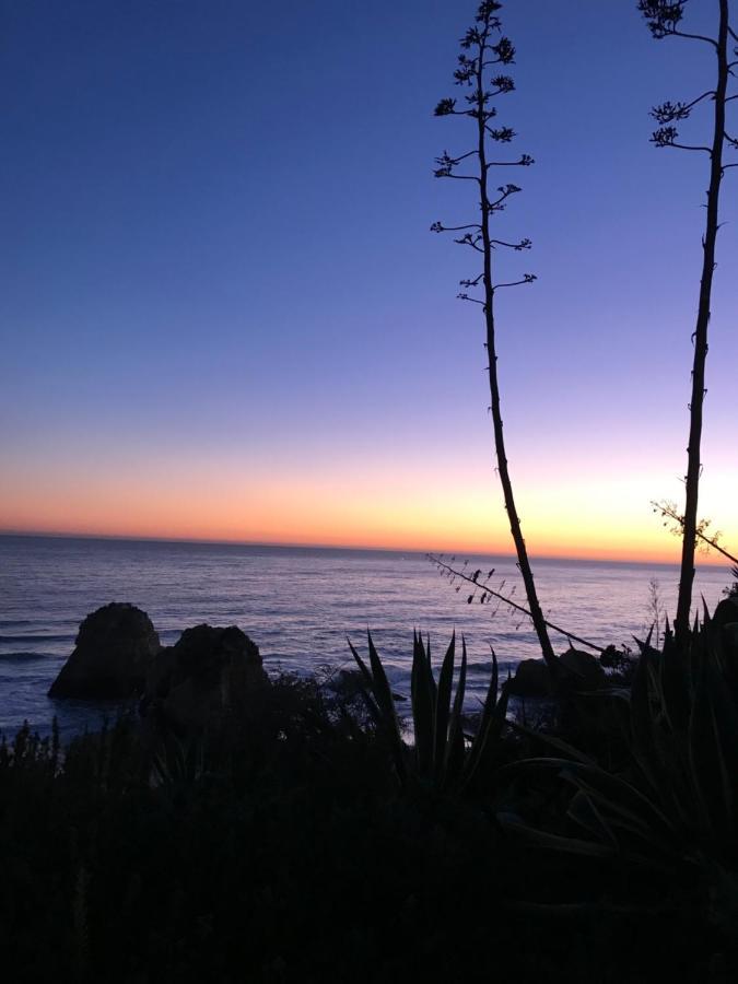 Sol Mar Apartment Portimao Bagian luar foto